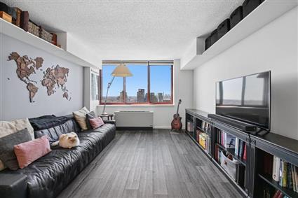 4-74 48th Avenue PH1H Hunters Point Queens NY 11109
