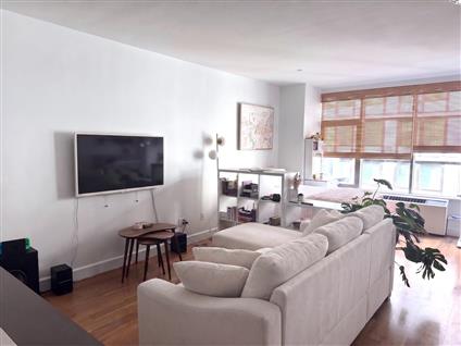 2-17 51st Avenue 518 Long Island City Queens NY 11101