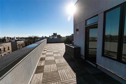 323 East 19th Street 3-E Ditmas Park Brooklyn NY 11226