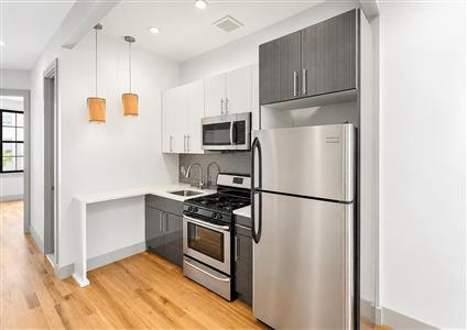 14 Locust Street 3L Bushwick Brooklyn NY 11206