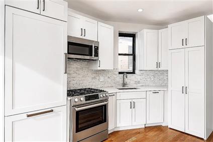 441 1st Street 3-L Park Slope Brooklyn NY 11215