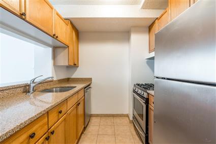 4-74 48th Avenue 4-V Hunters Point Queens NY 11109