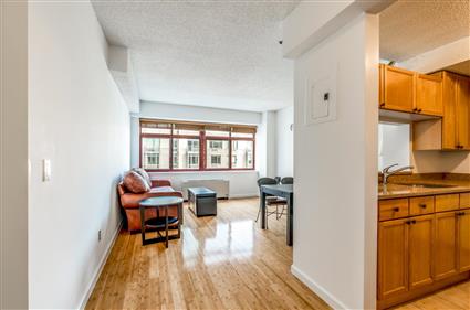 4-74 48th Avenue 4-V Hunters Point Queens NY 11109