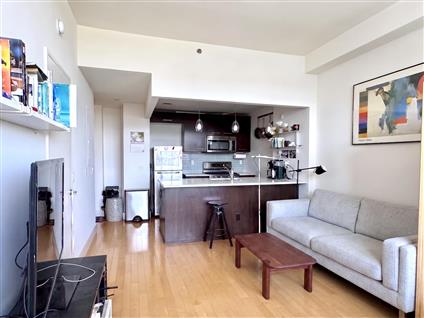 5-09 48th Avenue 6-D Long Island City Queens NY 11101