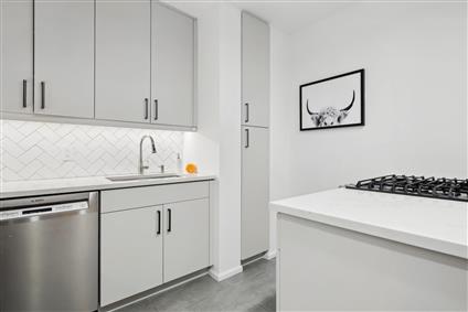 4-74 48th Avenue 7-E Hunters Point Queens NY 11109