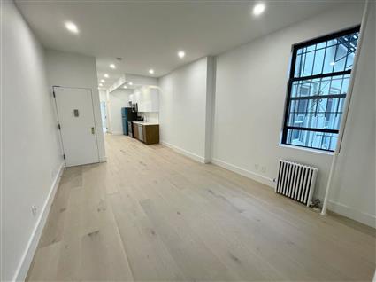 233 East 5th Street 8 Noho New York NY 10003