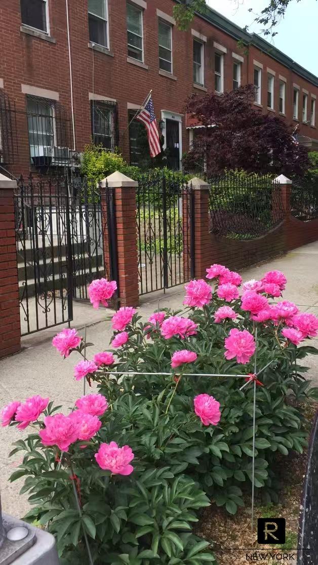 66 Sharon Street East Williamsburg Brooklyn NY 11211