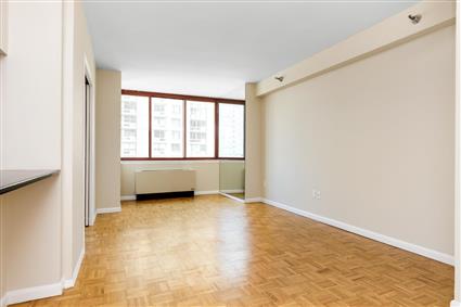 4-74 48th Avenue 15C Hunters Point Queens NY 11109