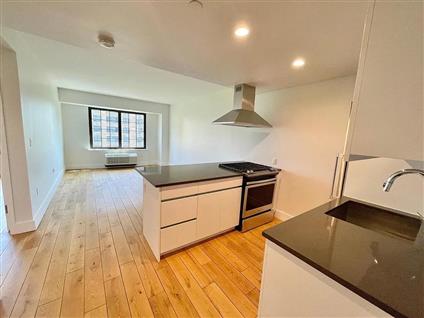 504 Myrtle Avenue 3-T Clinton Hill Brooklyn NY 11205