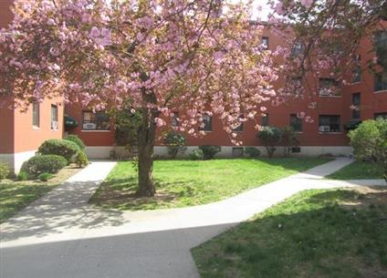 141-33 78th Avenue 2-C Kew Gardens Hills Queens NY 11367