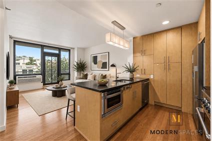 5-49 Borden Avenue 3-H Hunters Point Queens NY 11101