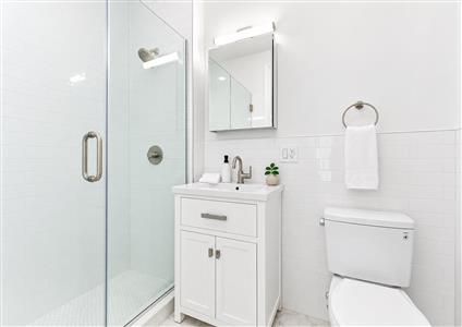 233 Clermont Avenue 2 Fort Greene Brooklyn NY 11205