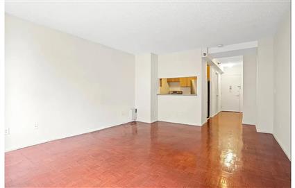 4-74 48th Avenue 3-H Hunters Point Queens NY 11109