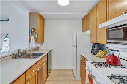4-74 48th Avenue 4-G Hunters Point Queens NY 11109