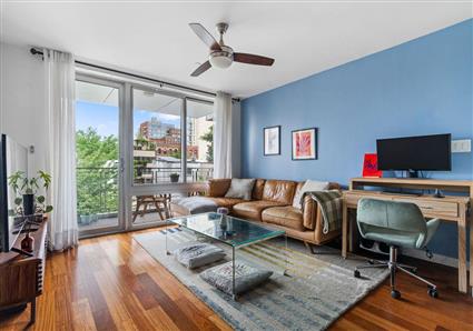 185 13th Street 3-B Gowanus Brooklyn NY 11215
