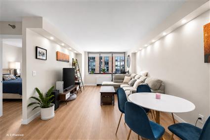 4-74 48th Avenue 35E Hunters Point Queens NY 11109