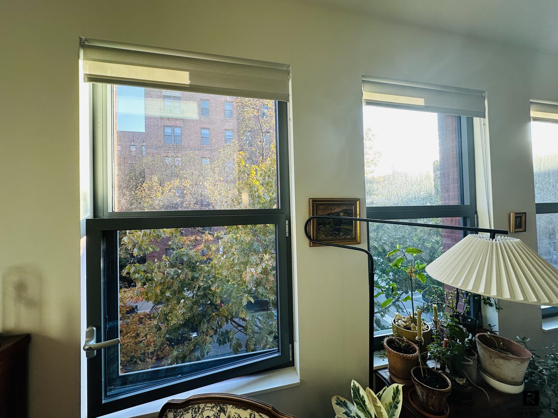 955 Sterling Place Crown Heights Brooklyn NY 11216