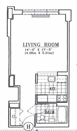 4-74 48th Avenue 3-H Hunters Point Queens NY 11109