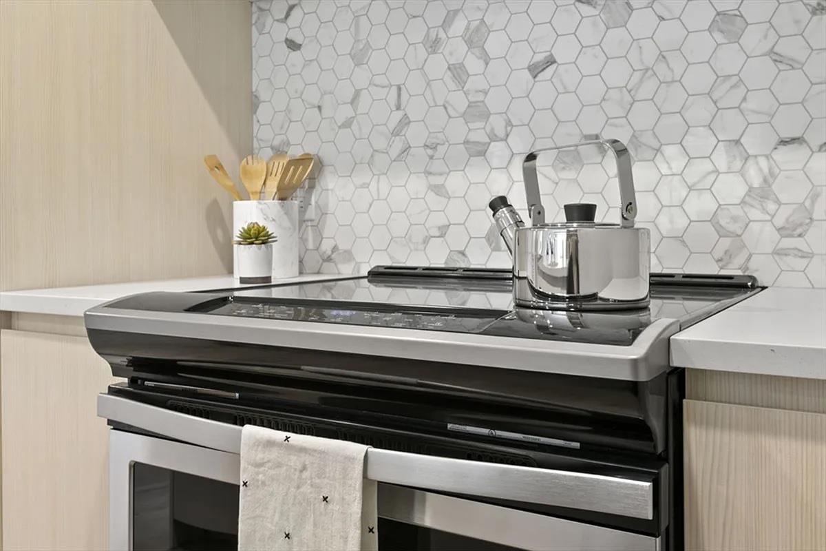 555 Waverly Avenue 8-E Clinton Hill Brooklyn NY 11238