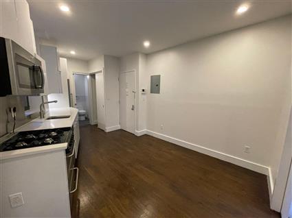442 Tenth Avenue 4RS Clinton New York NY 10001
