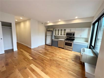 490 Myrtle Avenue 2-O Clinton Hill Brooklyn NY 11205