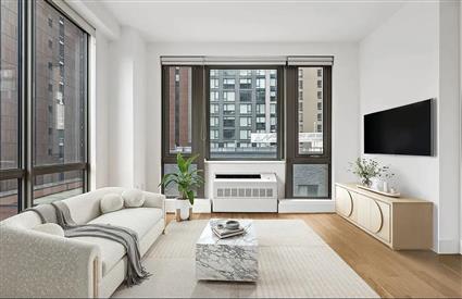 44-15 Purves Street 9-D Long Island City Queens NY 11101
