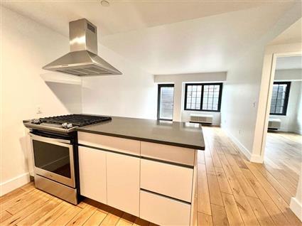 504 Myrtle Avenue 2P Clinton Hill Brooklyn NY 11205