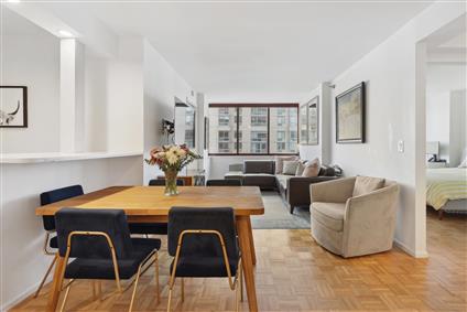 4-74 48th Avenue 7-E Hunters Point Queens NY 11109