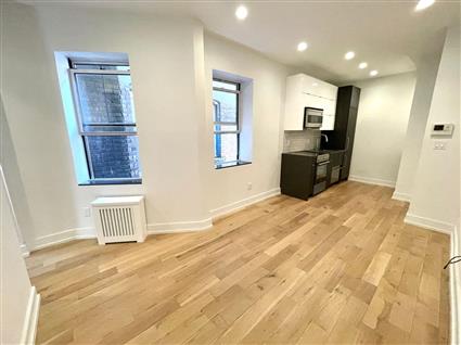 514 East 12th Street 16 E. Greenwich Village New York NY 10009