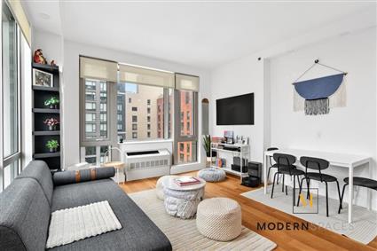44-15 Purves Street 14-D Long Island City Queens NY 11101