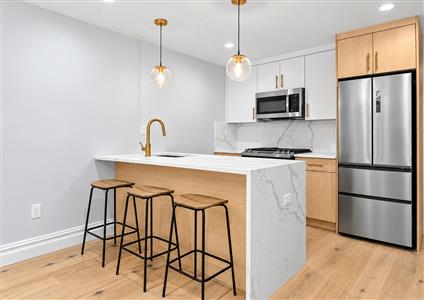 154 Cornelia Street 1 Bushwick Brooklyn NY 11221