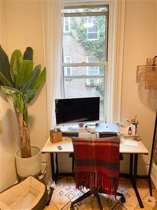 346 East 20th Street 14 Gramercy Park New York NY 10003