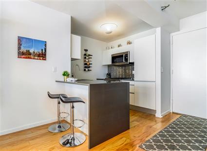 4-74 48th Avenue 28-E Hunters Point Queens NY 11109