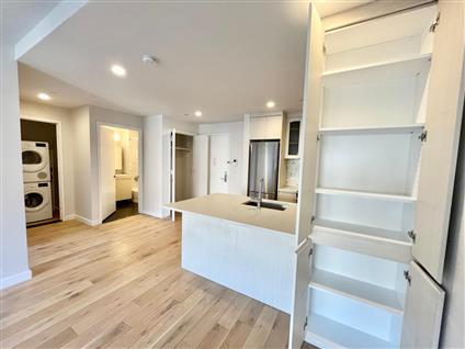 555 Waverly Avenue 3-G Clinton Hill Brooklyn NY 11238