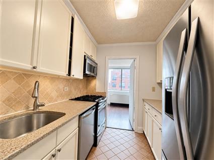 4-74 48th Avenue 12-J Hunters Point Queens NY 11109