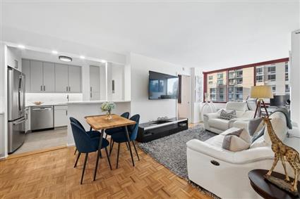 4-74 48th Avenue 7-E Hunters Point Queens NY 11109