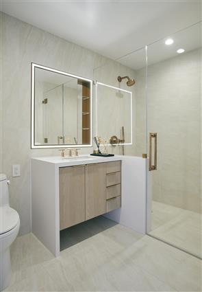 3 Court Square PH-307 Long Island City Queens NY 11101