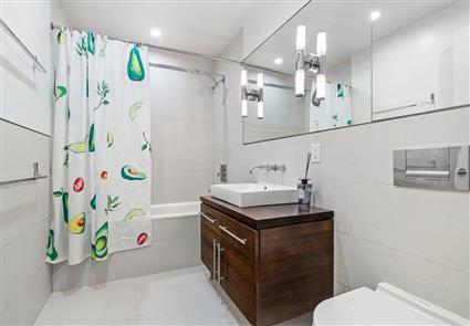 185 13th Street 3-B Gowanus Brooklyn NY 11215