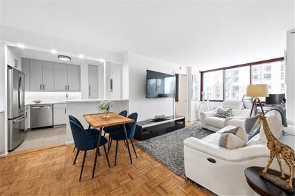 4-74 48th Avenue 7-E Hunters Point Queens NY 11109