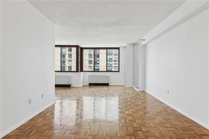 4-74 48th Avenue 35-F Hunters Point Queens NY 11109