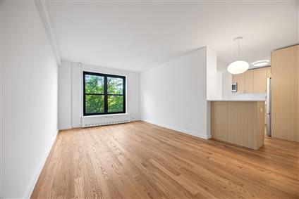 201 Clinton Avenue 7-A Clinton Hill Brooklyn NY 11205
