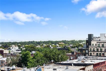 1546 Broadway 2-A Bushwick Brooklyn NY 11221