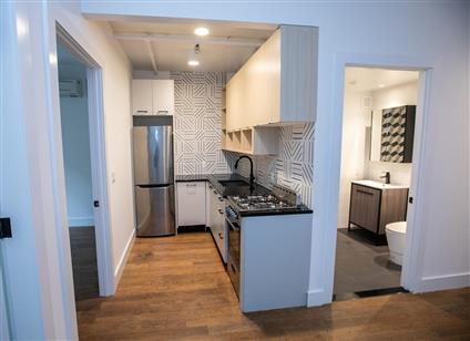 323 East 19th Street 3-E Ditmas Park Brooklyn NY 11226