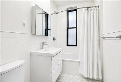 441 1st Street 3-L Park Slope Brooklyn NY 11215