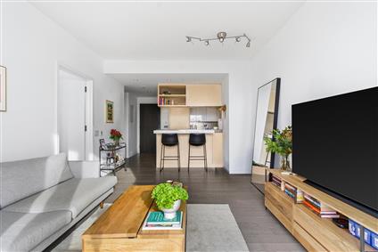 252 South Street 18B Lower East Side New York NY 10002