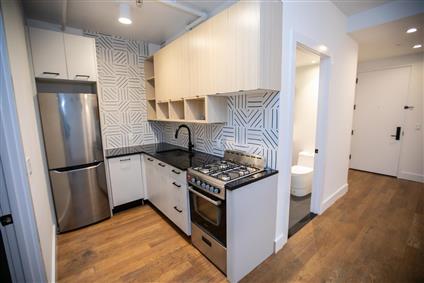 323 East 19th Street 3-E Ditmas Park Brooklyn NY 11226