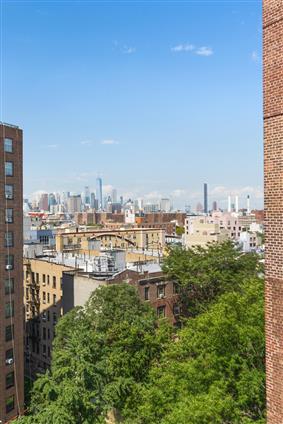209 Clinton Avenue 10-C Clinton Hill Brooklyn NY 11205