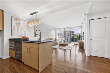 48-15 11th Street 2-G Long Island City Queens NY 11101