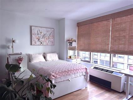 2-17 51st Avenue 518 Long Island City Queens NY 11101