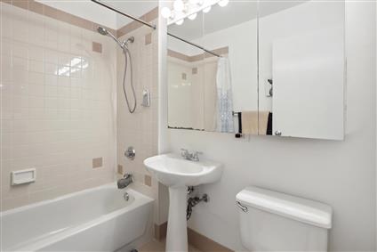 4-74 48th Avenue 7-E Hunters Point Queens NY 11109